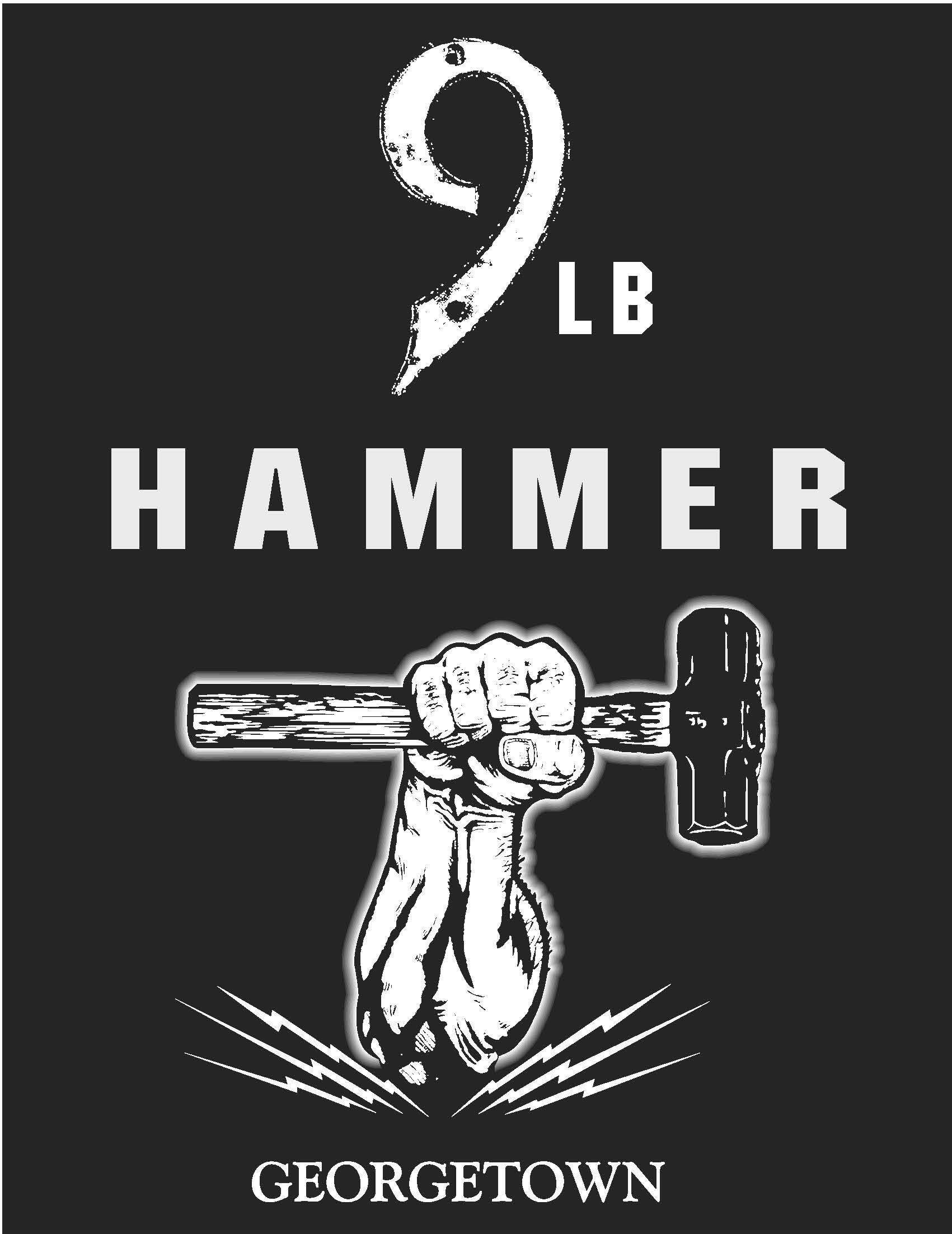9LB Hammer